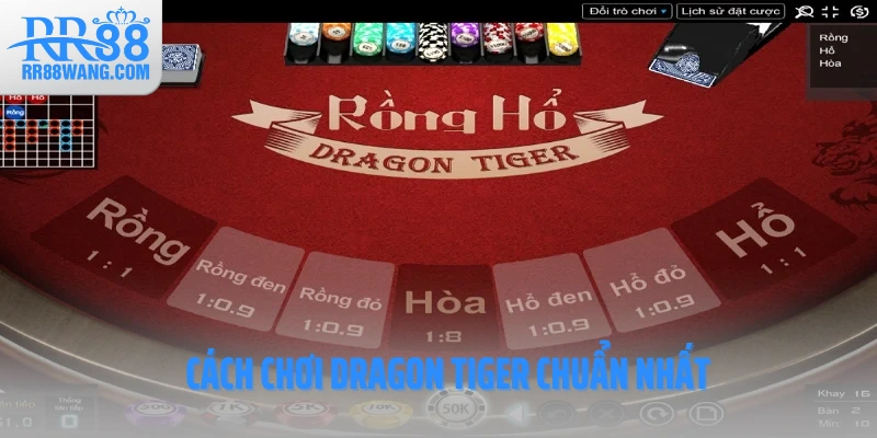 Cách chơi Dragon Tiger chuẩn nhất Cách chơi Dragon Tiger chuẩn nhất