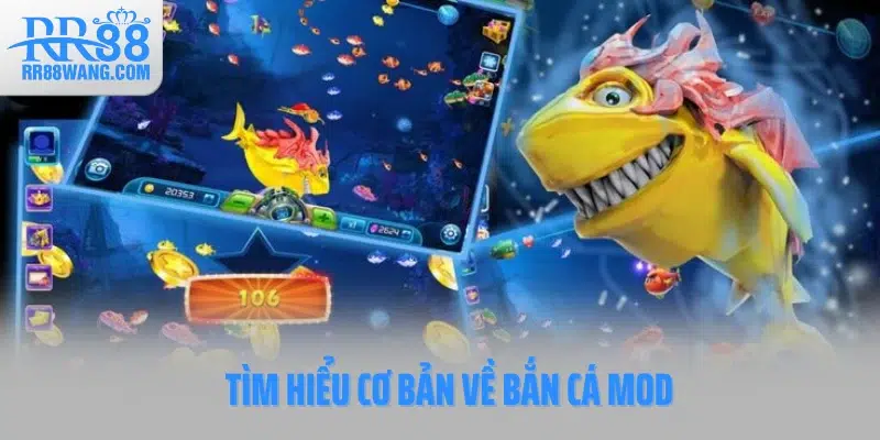 Tìm hiểu cơ bản về Bắn cá Mod Tìm hiểu cơ bản về Bắn cá Mod