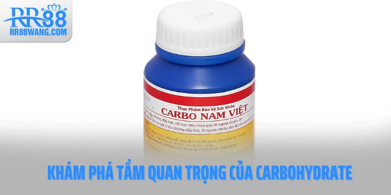 Khám phá tầm quan trọng của carbohydrate